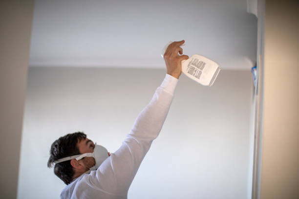 Best Insurance-Related Mold Remediation in India Hook, SC